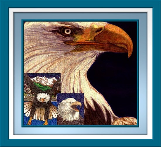 Bald Eagles