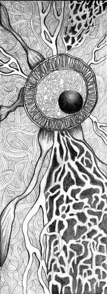 study for intaglio print
