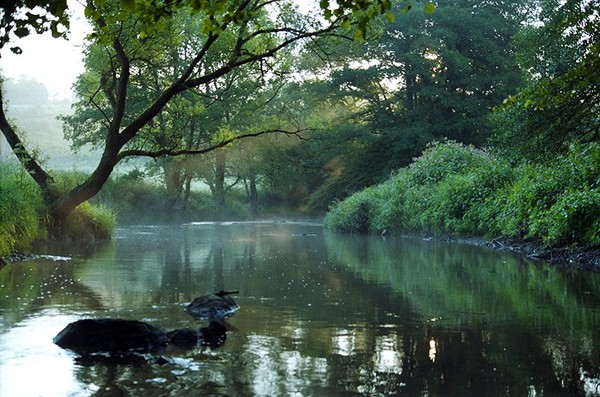 River At Sunrise