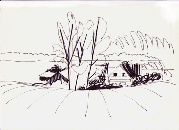 The neigbour farm