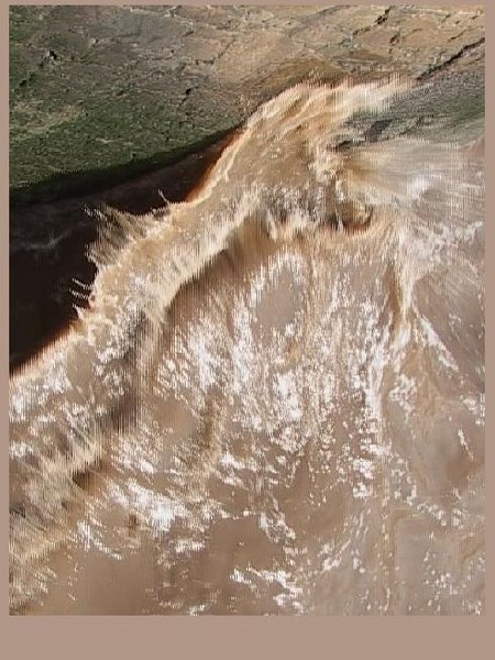 267. RIVERBIRD RISING