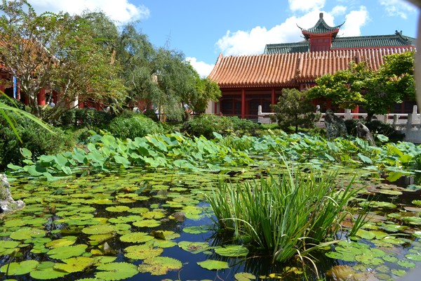 Chinese water garden