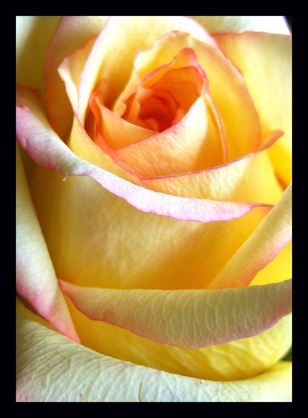 for me