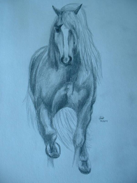 Sketch