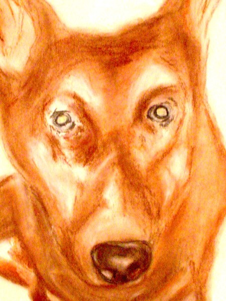 woofie conte