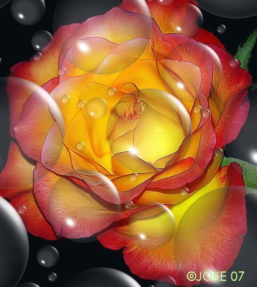 For a beautiful day
