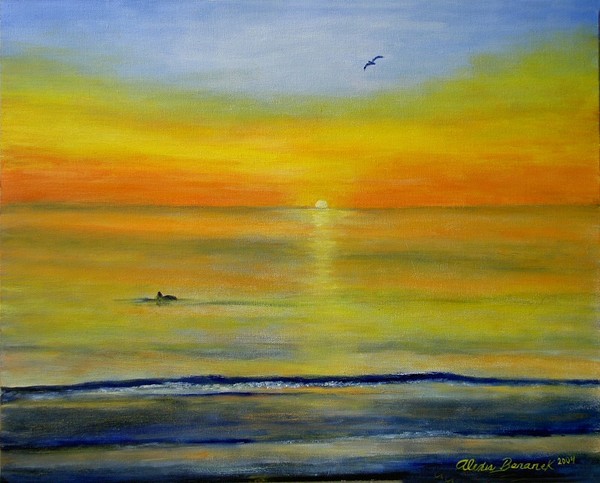 Dolphin Sunset