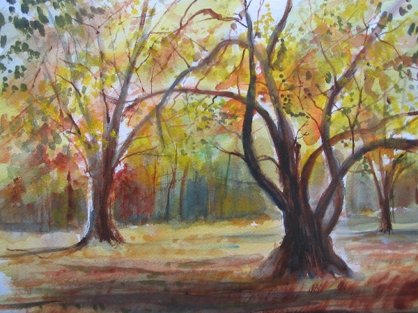 OCTOBER TREES