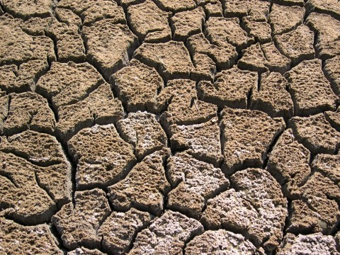Nature's Age