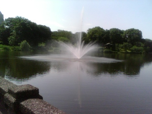 One fine day in the park