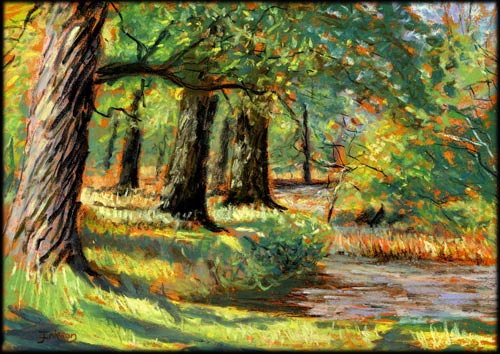 Along The Bank