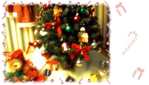 precious little tree 