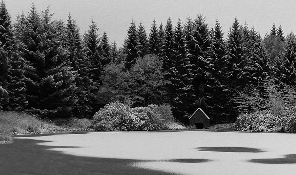 Frozen Lake