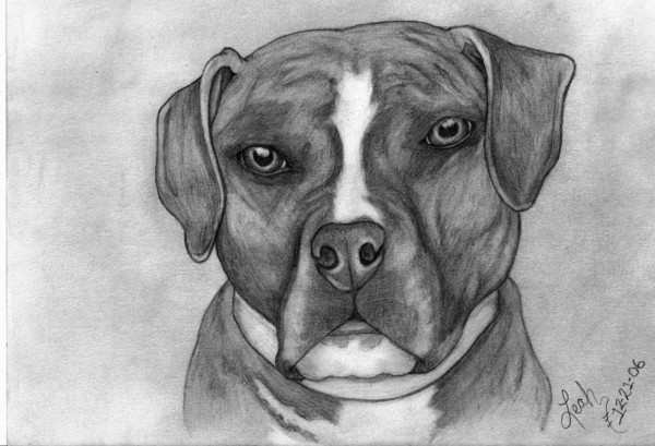 Gypsy