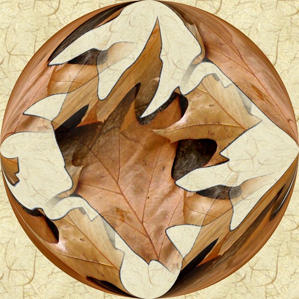 Autumn Leaves Abstract (Two)