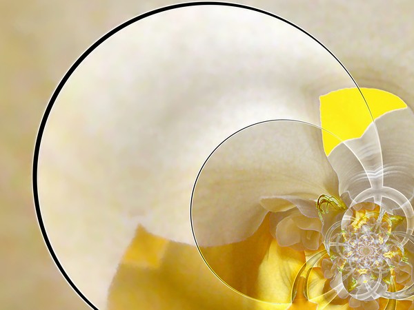 Another Abstract Flower Scene (Two)