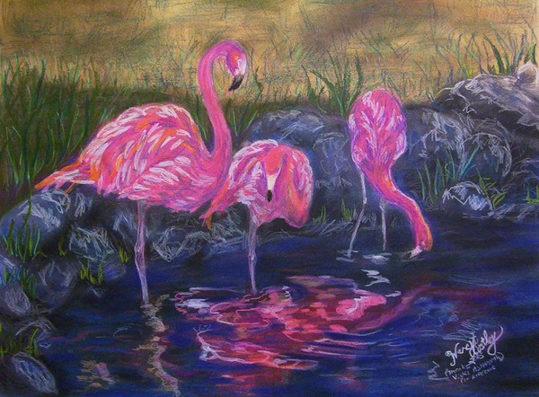 Flamingo Shade