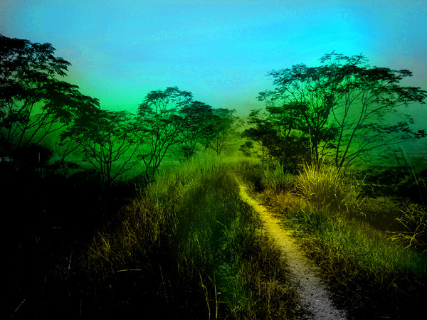 Path