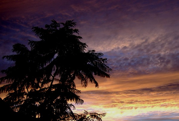 Purple Sky