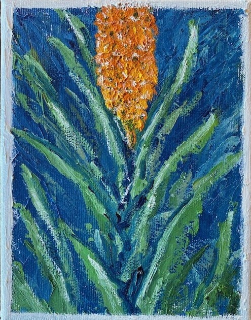 E o laranja floriu