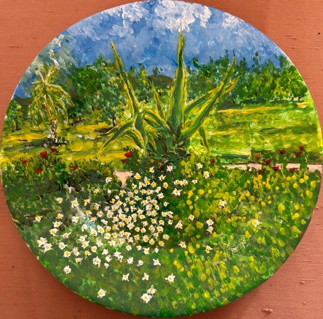 Cacto da Horta Nova
