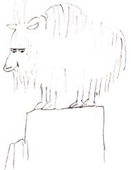 Cartoon Mountain Goat