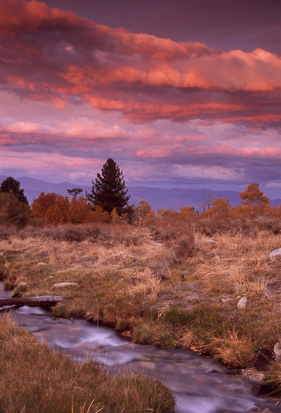 Autumn Creek Sunset