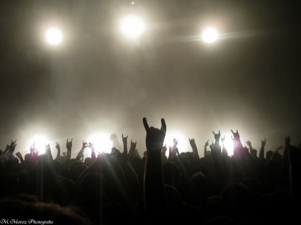 metal concert crowd hands