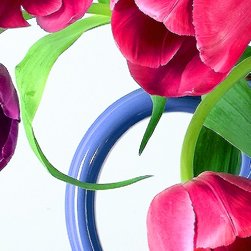 detail of blue jug with tulips