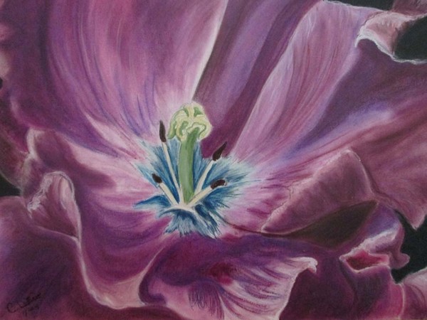 Purple bloom