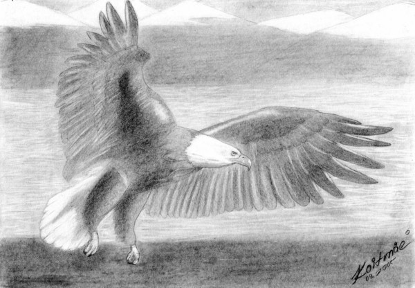 Eagle