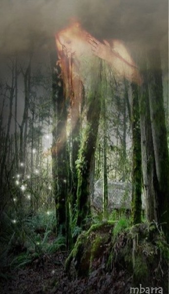 Blessing of the Fae