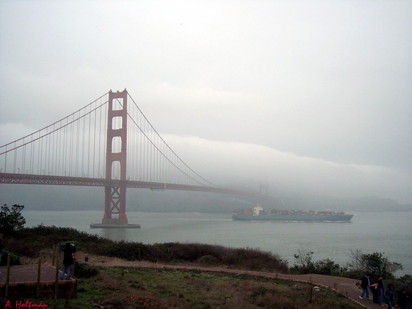Foggy Day