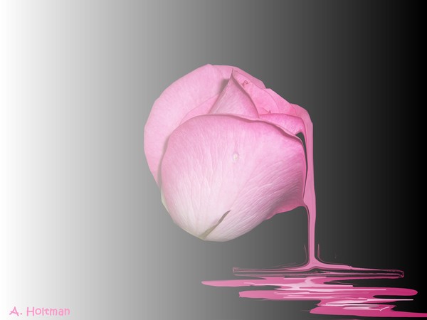 Sweet Imperfection