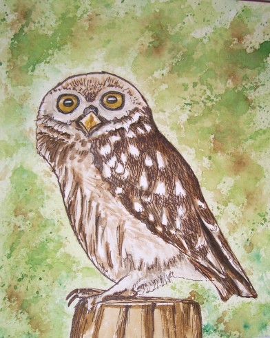 The OWL
