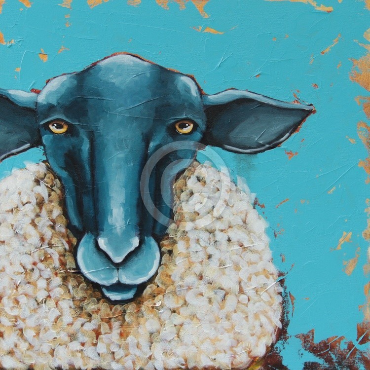 A Little Bit Sheepish 