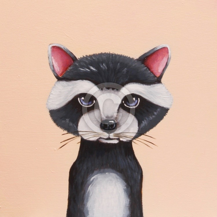 Little Raccoon