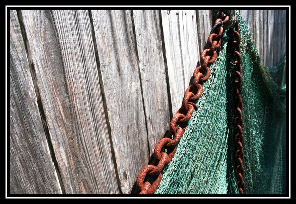 chain & net