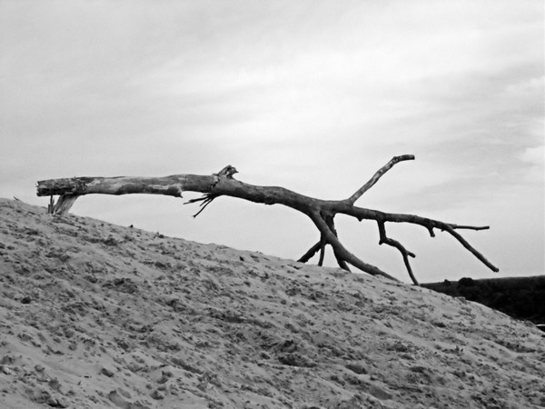 Lake Michigan-Sky view