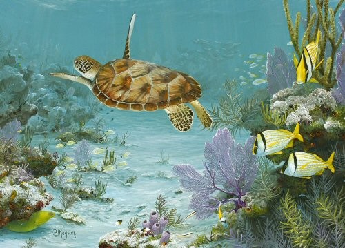 Turtles Turn