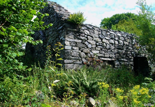 DERELICT