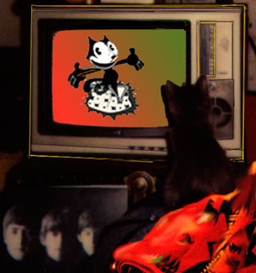 Felix my cat watches Felix cartoons