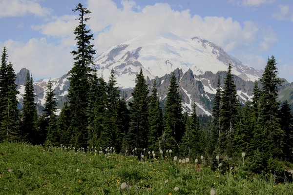 Chinook Pass (Hwy 410)