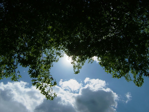 Where sky's the limit...