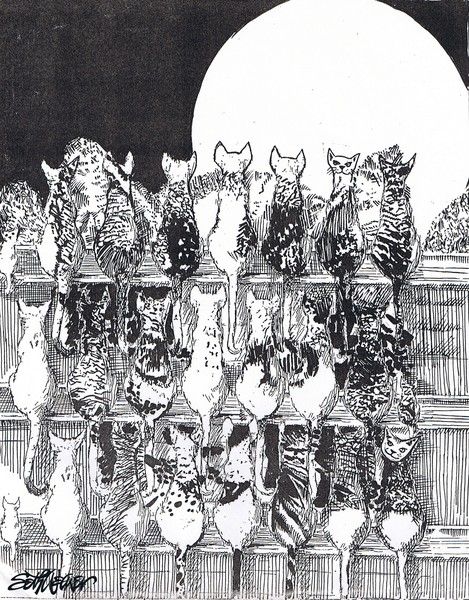 Two Dozen and One Cats
