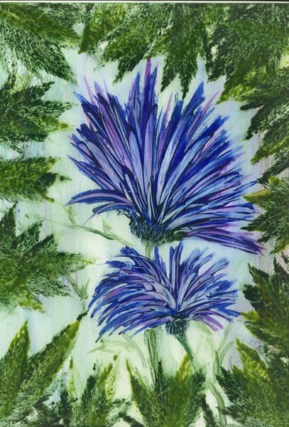 CORNFLOWERS