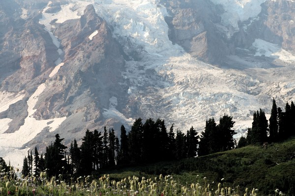 Mount Rainier with Trees