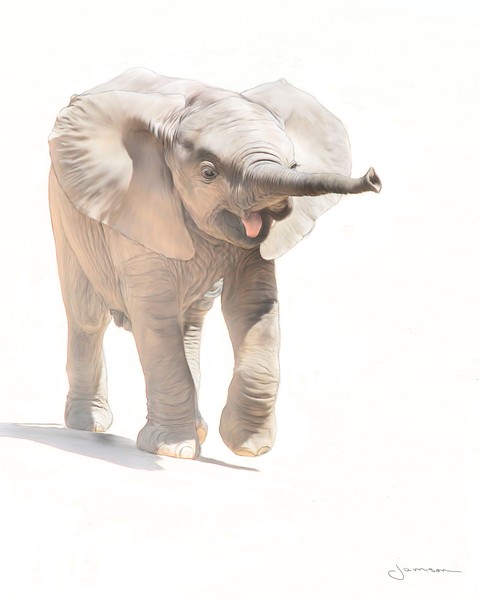 Playful Pachyderm 
