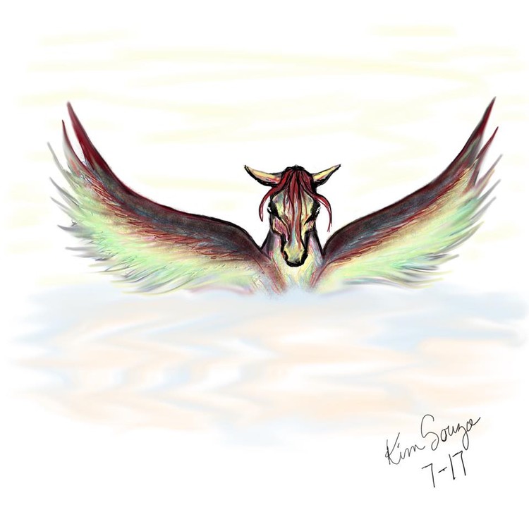 CloudPegasus