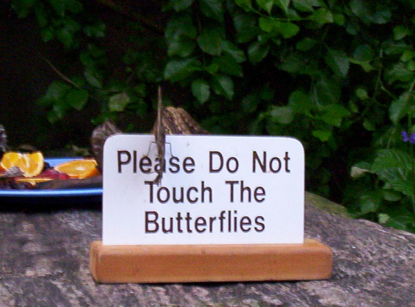 Please Do Not Touch the Butterflies